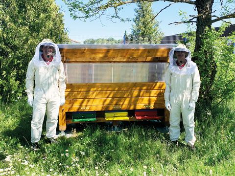 zwei Mitarbeiter mit Imker outfit an einer Bienenwabe schauen lachend in die Kamera